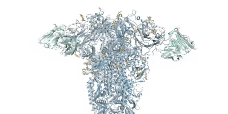 DeepMind adds a diffusion engine to latest protein-folding software